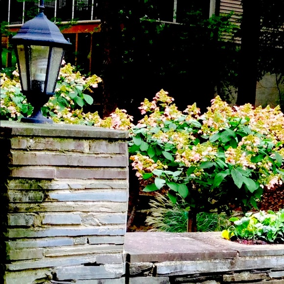 Make Me A Reasonable Offer—Buy with confidence. - Picture 4 of 9